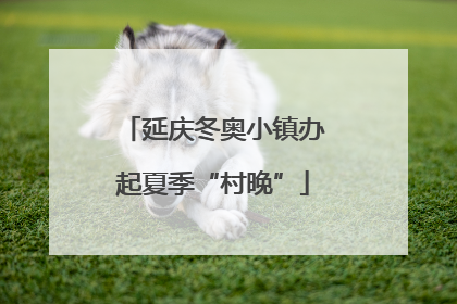 延庆冬奥小镇办起夏季“村晚”