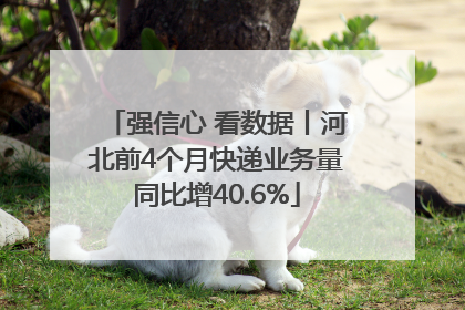 强信心 看数据丨河北前4个月快递业务量同比增40.6%