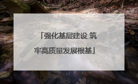 强化基层建设 筑牢高质量发展根基