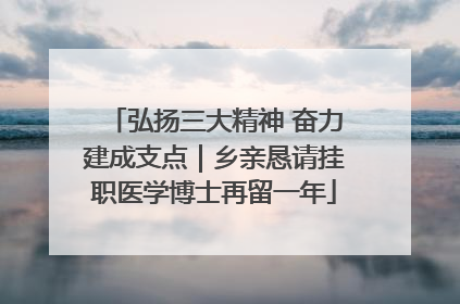 弘扬三大精神 奋力建成支点｜乡亲恳请挂职医学博士再留一年