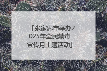 张家界市举办2025年全民禁毒宣传月主题活动