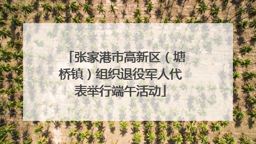 张家港市高新区（塘桥镇）组织退役军人代表举行端午活动