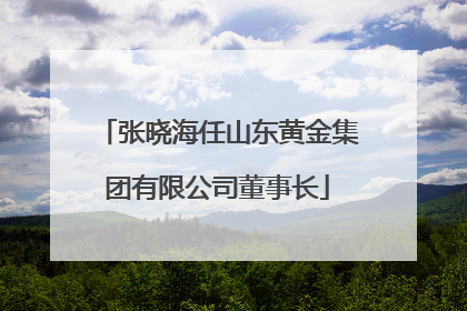 张晓海任山东黄金集团有限公司董事长