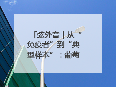 弦外音｜从“免疫者”到“典型样本”：葡萄牙极右翼崛起背后的欧洲困局