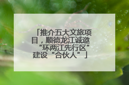 推介五大文旅项目，顺德龙江诚邀“环两江先行区”建设“合伙人”
