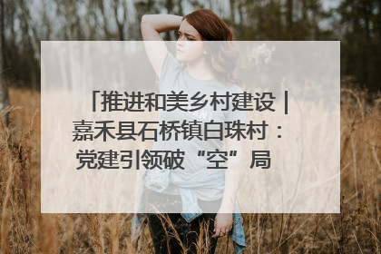 推进和美乡村建设｜嘉禾县石桥镇白珠村：党建引领破“空”局 乡贤聚力绘就新图景