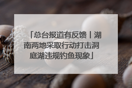 总台报道有反馈丨湖南两地采取行动打击洞庭湖违规钓鱼现象