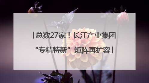 总数27家！长江产业集团“专精特新”矩阵再扩容