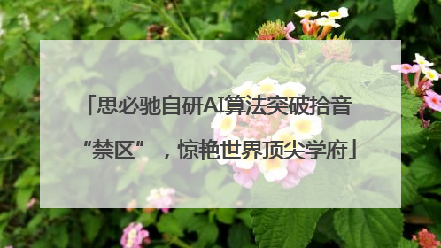 思必驰自研AI算法突破拾音“禁区”，惊艳世界顶尖学府