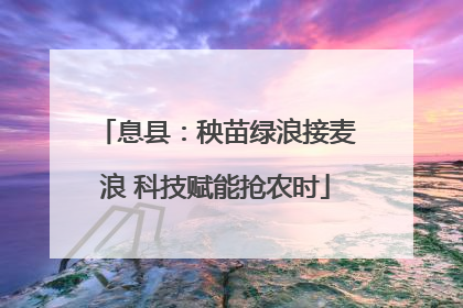 息县：秧苗绿浪接麦浪 科技赋能抢农时