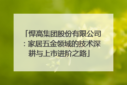 悍高集团股份有限公司：家居五金领域的技术深耕与上市进阶之路