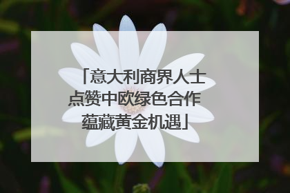 意大利商界人士点赞中欧绿色合作蕴藏黄金机遇