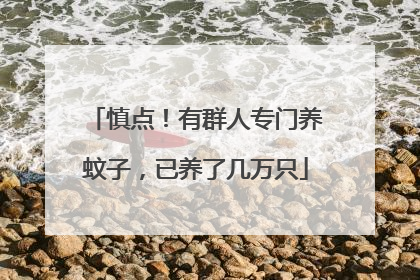 慎点！有群人专门养蚊子，已养了几万只