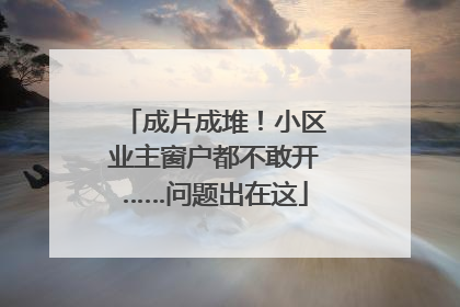 成片成堆！小区业主窗户都不敢开……问题出在这