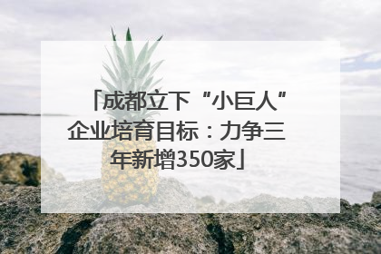 成都立下“小巨人”企业培育目标：力争三年新增350家