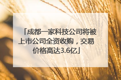 成都一家科技公司将被上市公司全资收购，交易价格高达3.6亿
