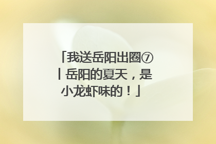 我送岳阳出圈⑦丨岳阳的夏天，是小龙虾味的！