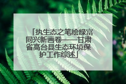 执生态之笔绘绿富同兴新画卷——甘肃省高台县生态环境保护工作综述