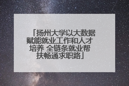 扬州大学以大数据赋能就业工作和人才培养 全链条就业帮扶畅通求职路