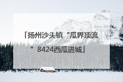 扬州沙头镇“瓜界顶流”8424西瓜进城