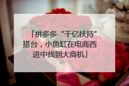 拼多多“千亿扶持”搭台，小鱼缸在电商西进中找到大商机