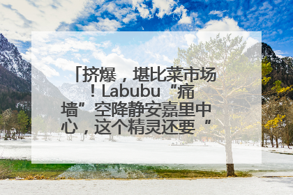 挤爆，堪比菜市场！Labubu“痛墙”空降静安嘉里中心，这个精灵还要“突袭”便利店？