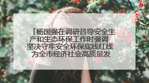杨国强在调研督导安全生产和生态环保工作时强调 坚决守牢安全环保底线红线 为全市经济社会高质量发展提供坚强保障