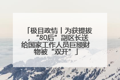 极目政情丨为获提拔，“80后”副区长送给国家工作人员巨额财物被“双开”