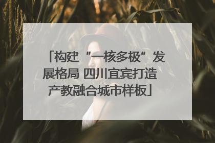 构建“一核多极”发展格局 四川宜宾打造产教融合城市样板