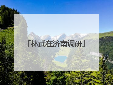 林武在济南调研