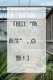 枝江“鱼医生”，点赞！
