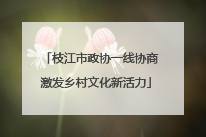 枝江市政协一线协商激发乡村文化新活力
