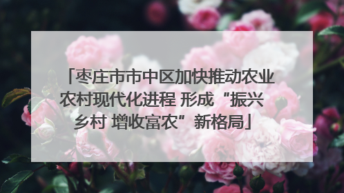 枣庄市市中区加快推动农业农村现代化进程 形成“振兴乡村 增收富农”新格局