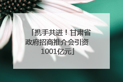 携手共进！甘肃省政府招商推介会引资1001亿元