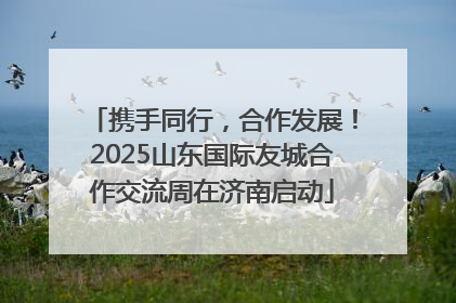 携手同行，合作发展！2025山东国际友城合作交流周在济南启动
