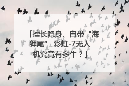 擅长隐身、自带“海狸尾” 彩虹-7无人机究竟有多牛？