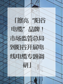 擦亮“阳谷电缆”品牌！市场监管总局到阳谷开展电线电缆专题调研