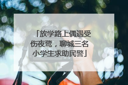 放学路上偶遇受伤夜鹭，聊城三名小学生求助民警