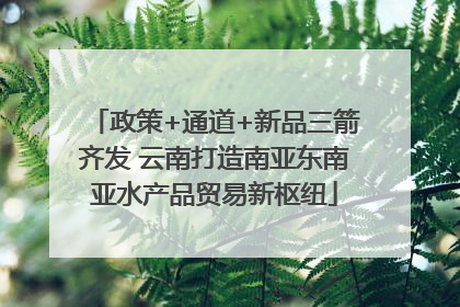 政策+通道+新品三箭齐发 云南打造南亚东南亚水产品贸易新枢纽