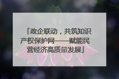 政企联动，共筑知识产权保护网——赋能民营经济高质量发展