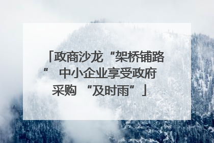政商沙龙“架桥铺路” 中小企业享受政府采购 “及时雨”
