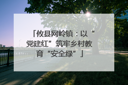 攸县网岭镇：以“党建红”筑牢乡村教育“安全绿”