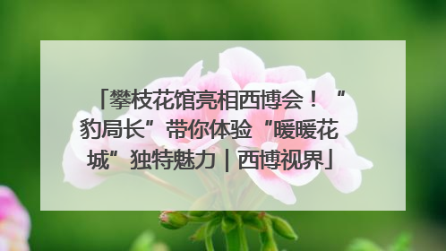 攀枝花馆亮相西博会！“豹局长”带你体验“暖暖花城”独特魅力｜西博视界