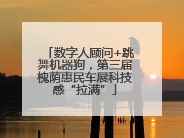 数字人顾问+跳舞机器狗，第三届槐荫惠民车展科技感“拉满”