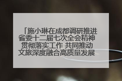 施小琳在成都调研推进省委十二届七次全会精神贯彻落实工作 共同推动文旅深度融合高质量发展 加快打造支柱产业民生产业幸福产业