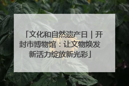 文化和自然遗产日｜开封市博物馆：让文物焕发新活力绽放新光彩