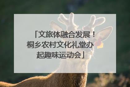 文旅体融合发展！桐乡农村文化礼堂办起趣味运动会