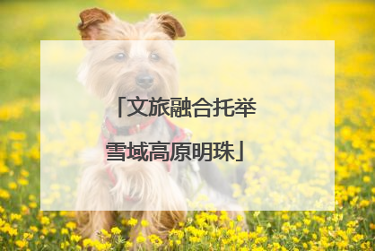 文旅融合托举雪域高原明珠