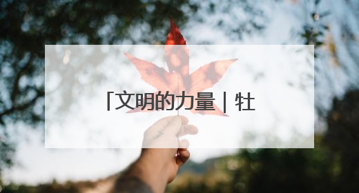文明的力量｜牡丹之都吹拂文明新风——山东菏泽文明创建一线见闻