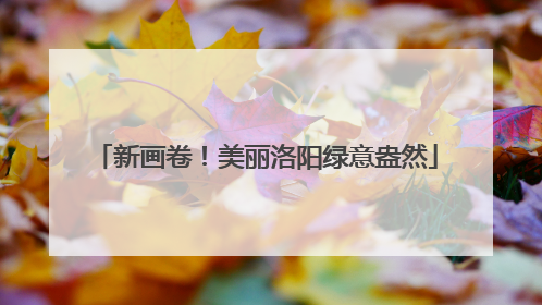 新画卷！美丽洛阳绿意盎然